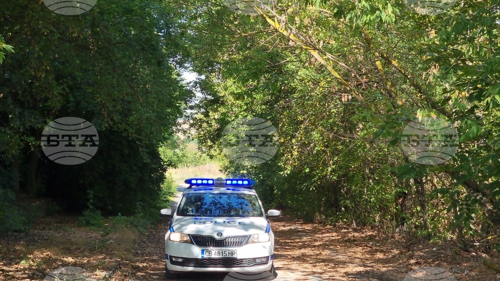 Разсипано зърно затруднява движението по околовръстния път на Добрич