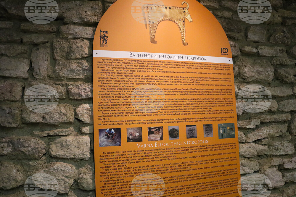 Балчик - „Двореца" - изложба