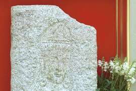 Ден на милосърдието