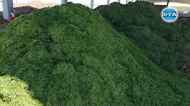 Зелена трансформация: как в Ямбол превръщат част от отпадъците в ресурс?