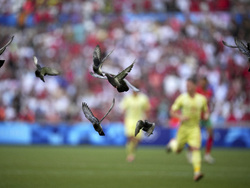 Paris Olympics Soccer