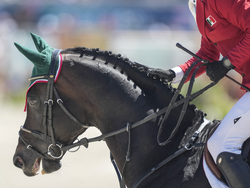 Paris Olympics Equestrian