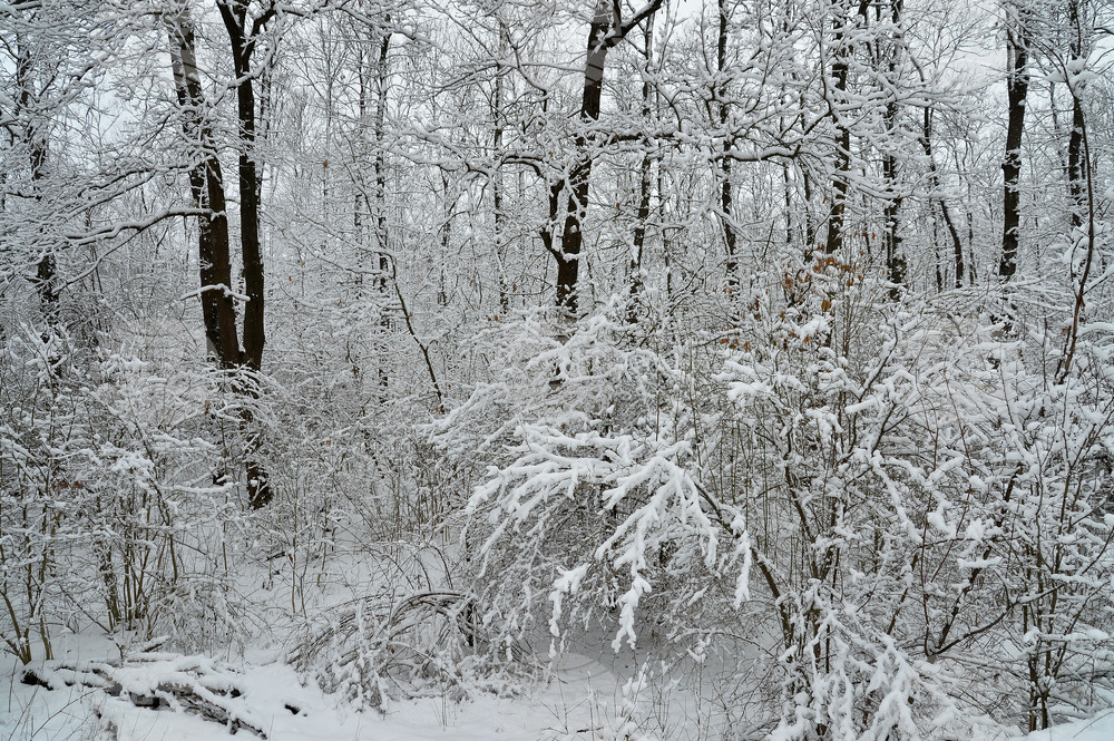 Обзорският проход е затворен за движение