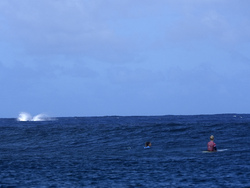 Paris Olympics Surfing