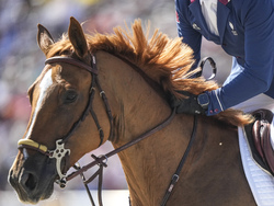 Paris Olympics Equestrian