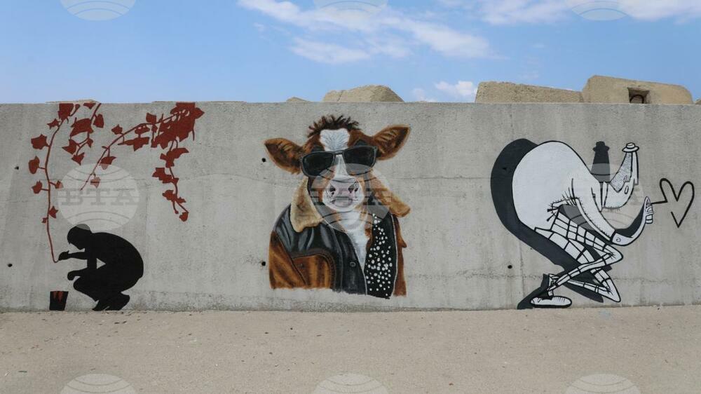Graffiti Wall in Turkiye Bids for Guinness World Records