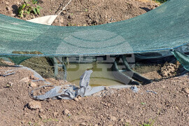 Квартал „Ботунец" - крокодил