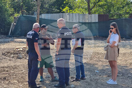 Квартал Ботунец - крокодил