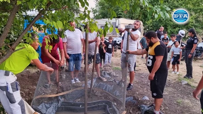 Откритият крокодил в столичния квартал "Ботунец" остава там и през нощта, утре ще бъде направена проверка на чипа му