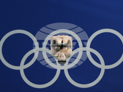 Paris Olympics Day 11 Photo Gallery