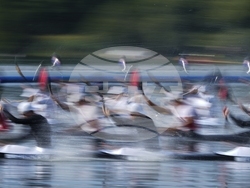 Paris Olympics Day 11 Photo Gallery