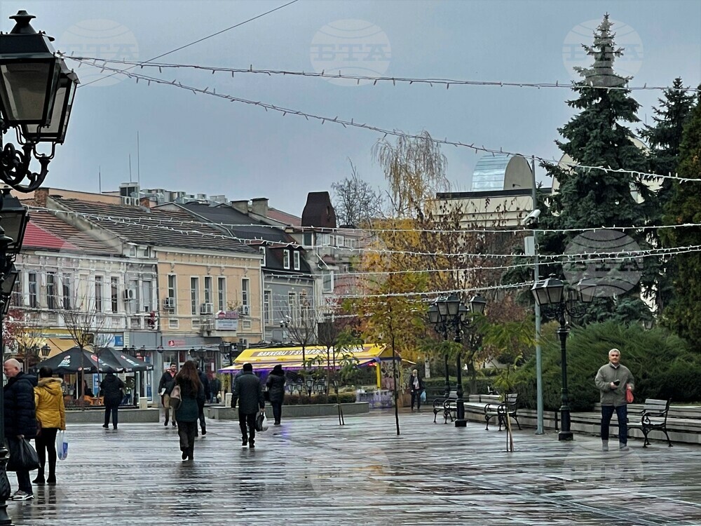 Коледната елха във Видин ще грейне на 9 декември