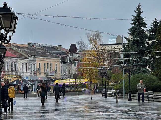 Коледната елха във Видин ще грейне на 9 декември