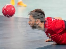 Paris Olympics Handball