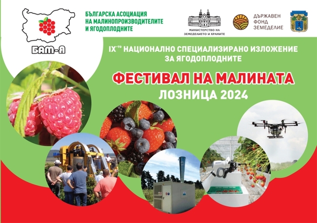 БАМ-я: Национално изложение и Фестивал на малината 2024