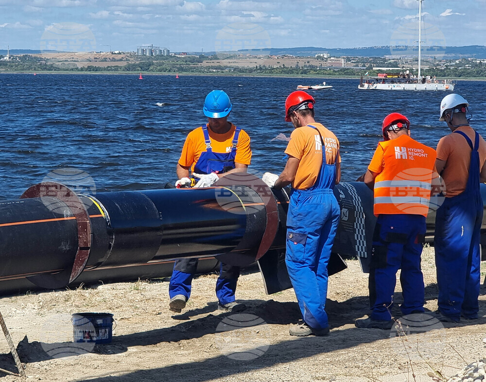 Варна - кмет - оглед