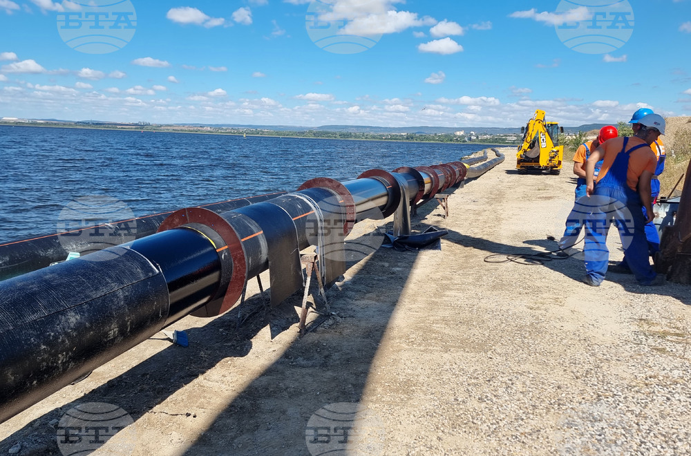 Варна - кмет - оглед