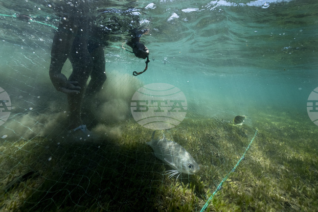 Учени от Турция с нов проект за разчистване на изоставени мрежи и възстановяване на екосистеми в Черно море 