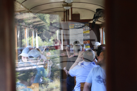 Банско - „Банско джаз фестивал 2024“ - Родопска теснолинейка - „Джаз теснолинейка“