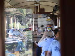 Банско - „Банско джаз фестивал 2024“ - Родопска теснолинейка - „Джаз теснолинейка“