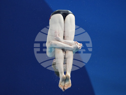 Paris Olympics Diving