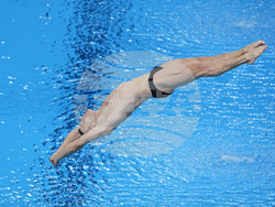 Paris Olympics Diving
