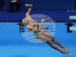 Paris Olympics Diving