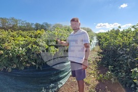 Село Ловско - малини - напояване