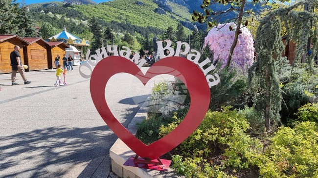 Младежи от Враца ще поднесат домашно приготвени сладкиши на дамите, работещи в болницата