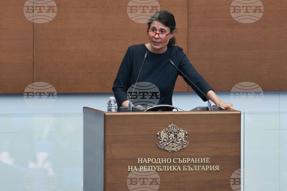 Народно събрание - заседание - Елисавета Белобрадова