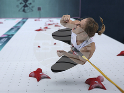 Paris Olympics Sport Climbing