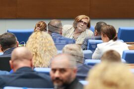 Народно събрание - заседание - Искра Михайлова