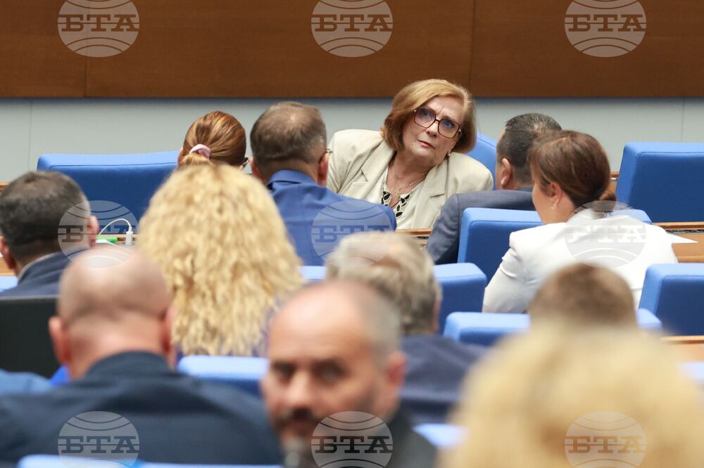 Народно събрание - заседание - Искра Михайлова