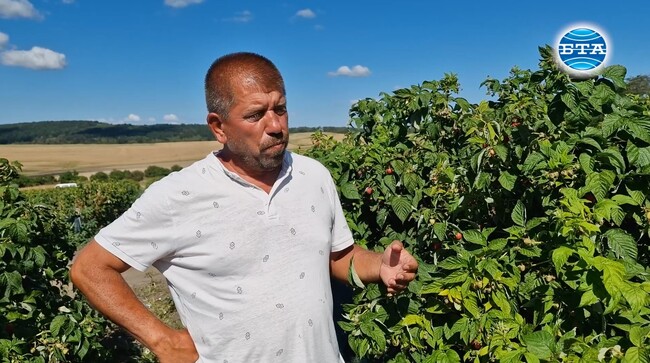 Климатичните промени и проблемът с напояването са основни пречки за земеделците, смята производител от Разградско
