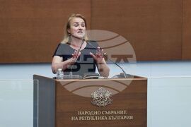 Народно събрание - заседание - Красимира Нинова-Катинчарова