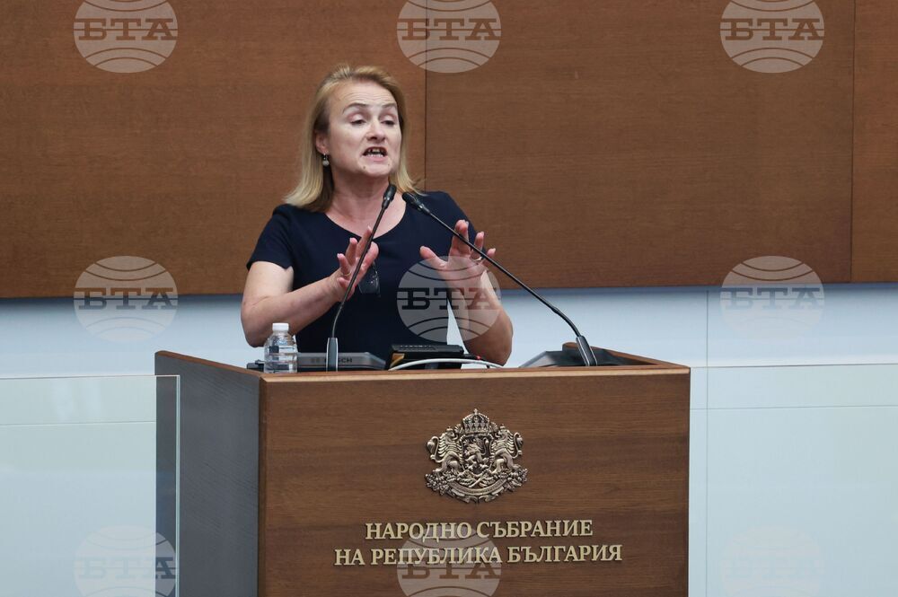 Народно събрание - заседание - Красимира Нинова-Катинчарова