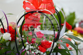 Исперих - 8 март - цветя