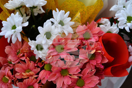 Исперих - 8 март - цветя