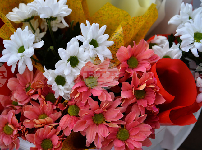 Исперих - 8 март - цветя