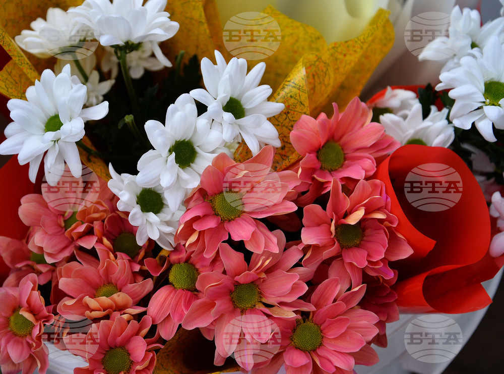 Исперих - 8 март - цветя