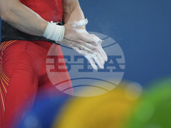 Paris Olympics Weightlifting