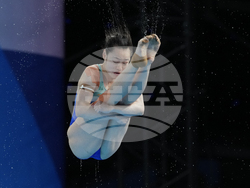 Paris Olympics Diving