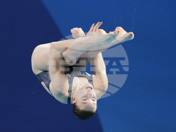 Paris Olympics Diving