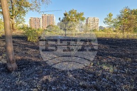 Пловдив - пожар