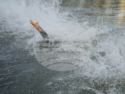 Paris Olympics Swimming