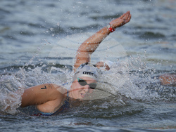 Paris Olympics Swimming