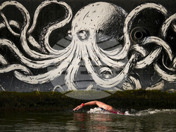Paris Olympics Swimming