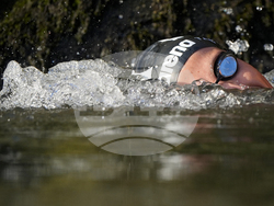 Paris Olympics Swimming