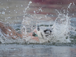 Paris Olympics Swimming