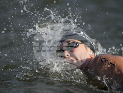 Paris Olympics Swimming